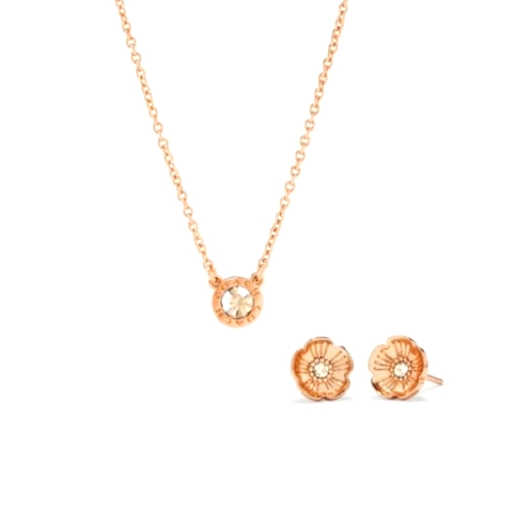 Coach necklace and earrings